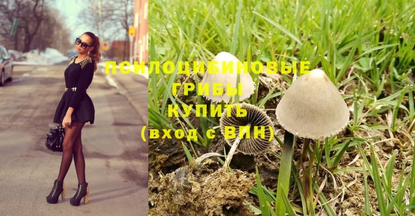 мяу мяу мука Новокубанск