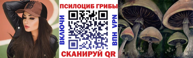 hydra зеркало  Шахунья  Псилоцибиновые грибы Psilocybe 